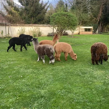 L'oreade 3* Amfreville-sur-Iton