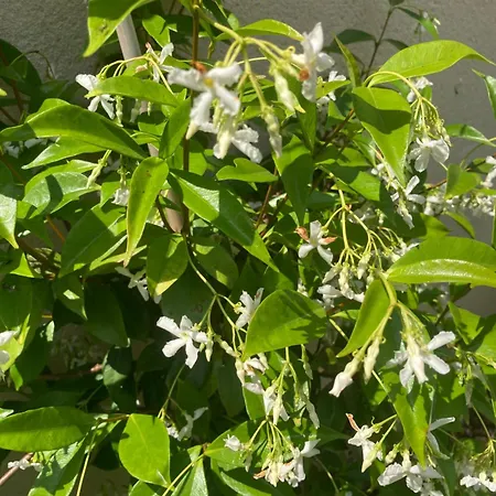 L'oreade Guest house Amfreville-sur-Iton