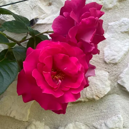 L'oreade Amfreville-sur-Iton