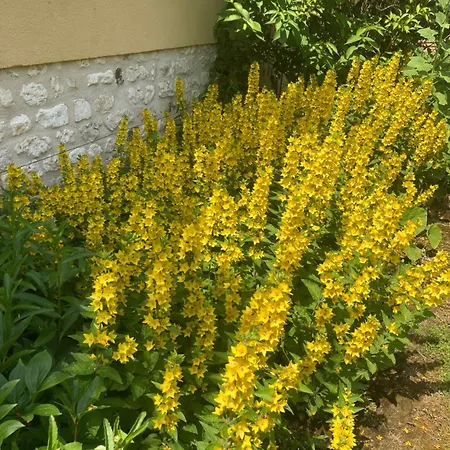 L'oreade 3* Amfreville-sur-Iton